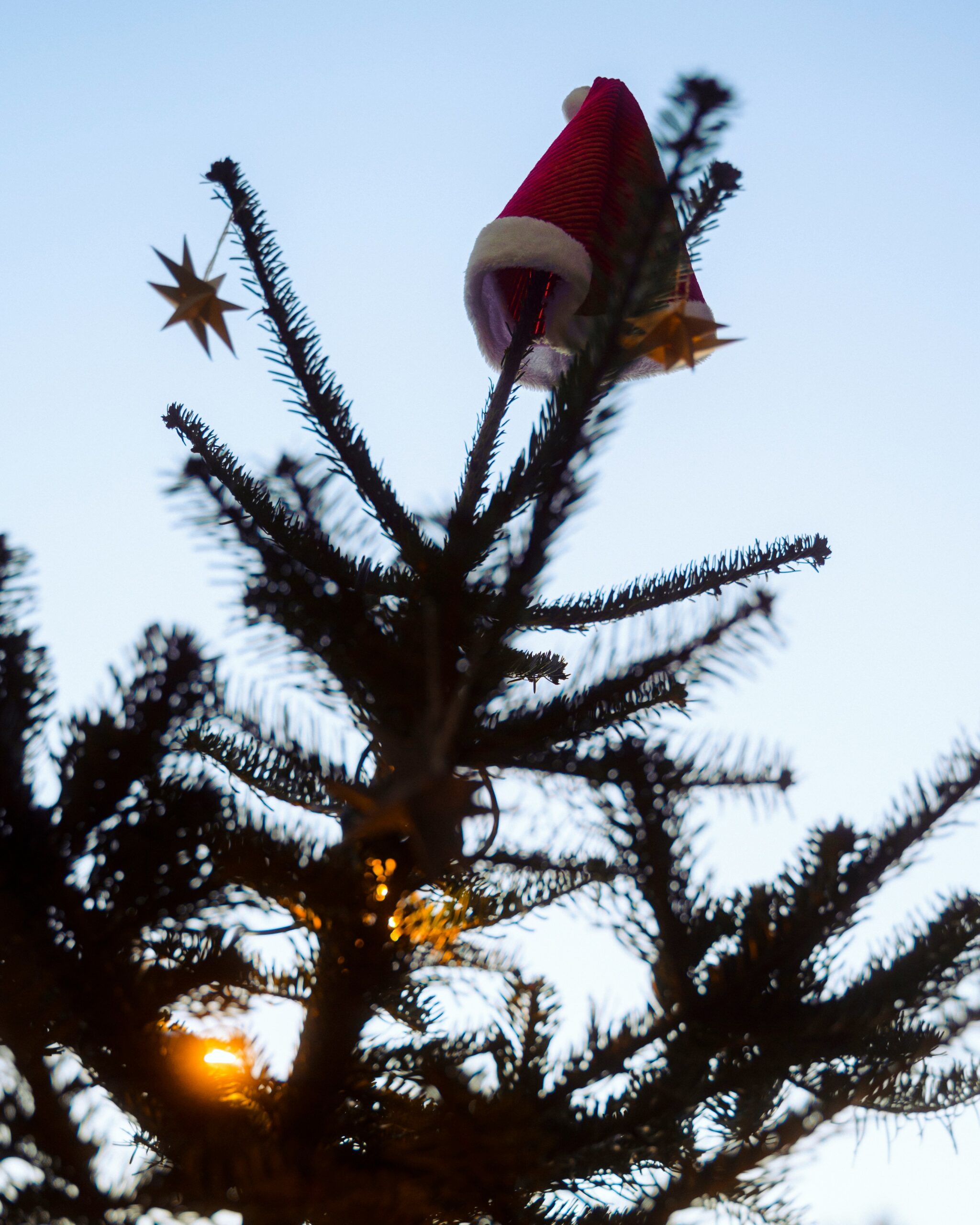 evo/RWO Weihnachtssingen 2024 im Stadion Niederrhein